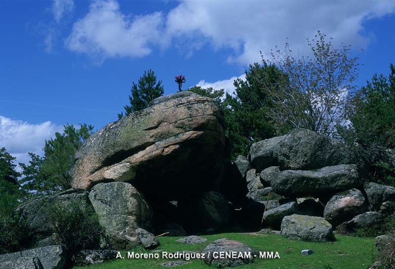 Cueva del Monje-Valsaín. Foto de A. Moreno (CENEAM)