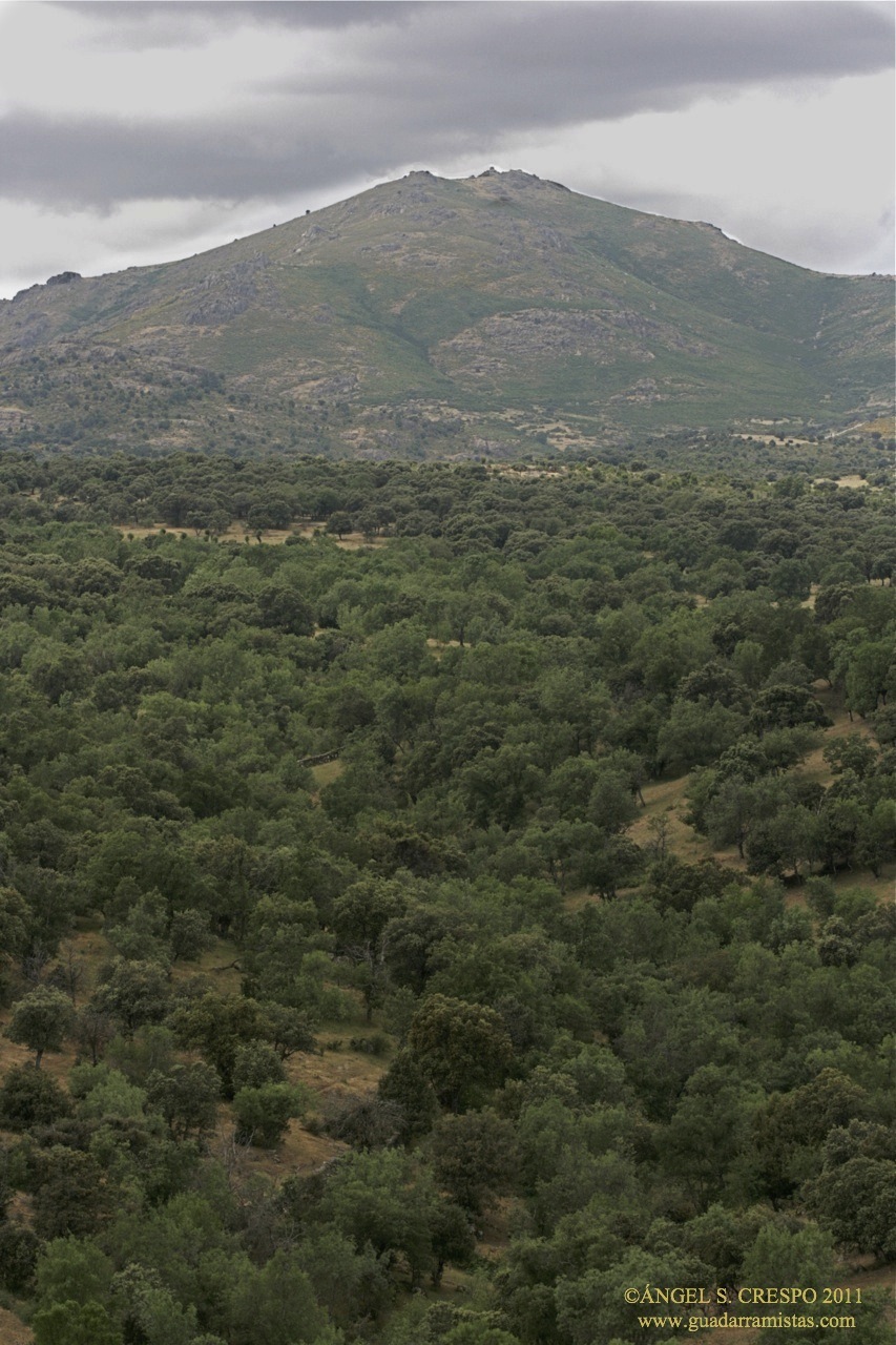 Monte de San Pedro visto desde Guadalix de la Sierra.